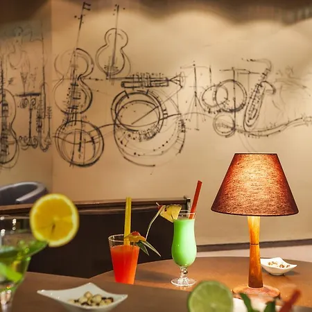 杜布若维尼克宫殿酒店 酒店