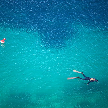 Ξενοδοχείο Palace 5*